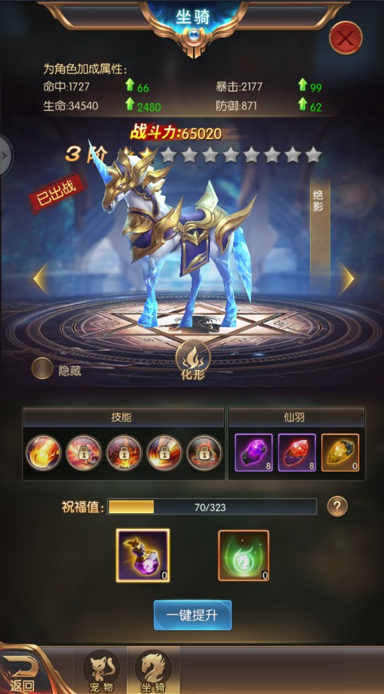 骑宠升级攻略