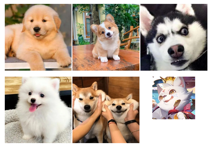 《道友请留步》最新爆料 这么萌的小宠物谁抵得住呀？