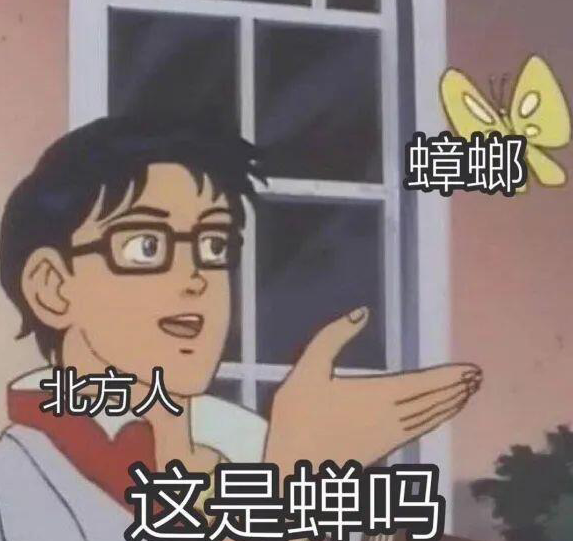 三句话，让二次元爱上广东蟑螂