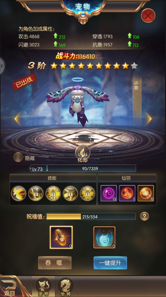 骑宠升级攻略