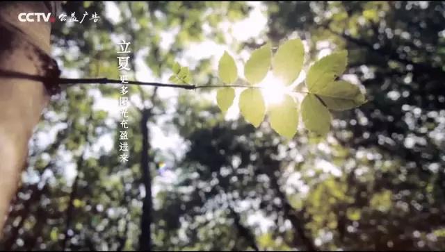 立夏时节，饮食习惯该注意什么？ 