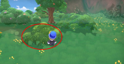 摩尔庄园手游皇家彩球如何获得 摩尔庄园手游皇家彩球全地点