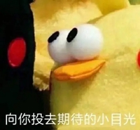 【策划专访】新战宠？新武器？新玩法？游戏开发进度大爆料！