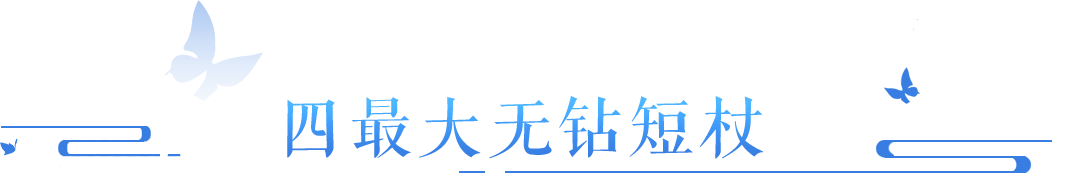 四最大带无钻出现，双五十直接随机洗出来！