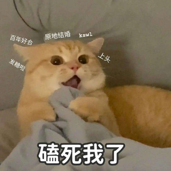咸雪CP爆火 三谋成顶流新宠