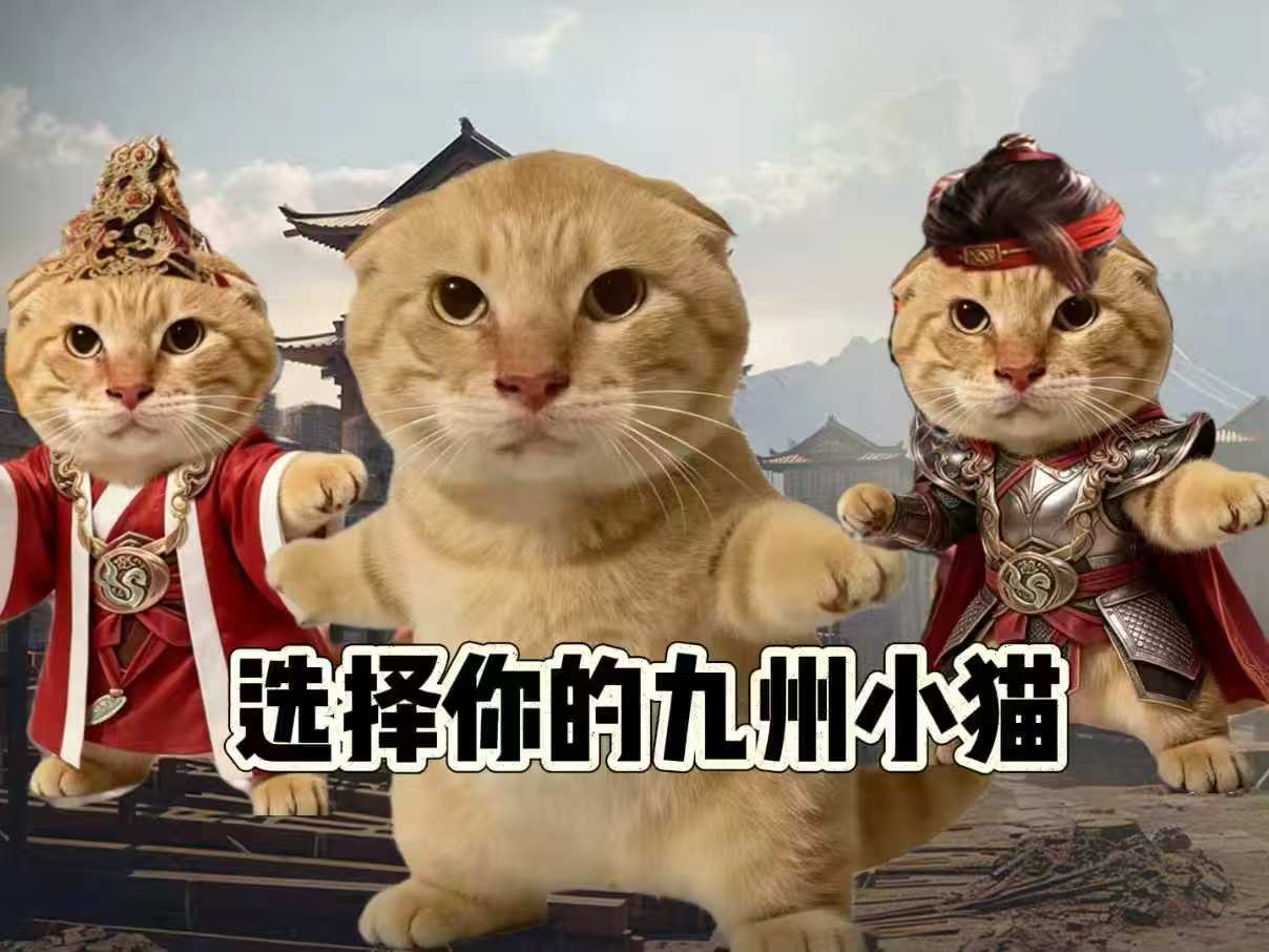 选择你的九州小猫