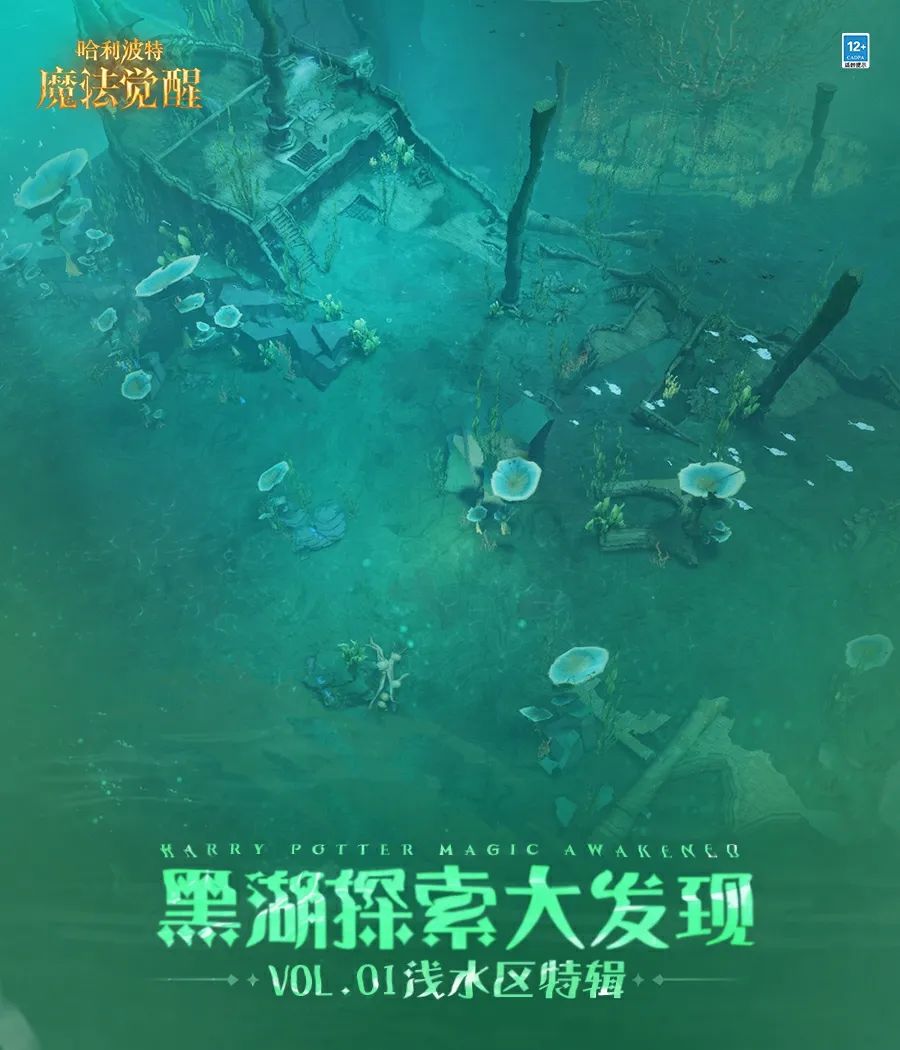 黑湖探索大发现 | 第一期：浅水区