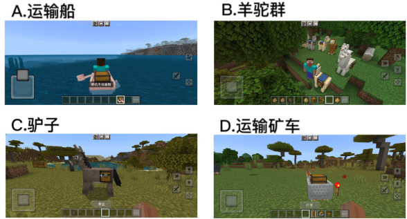 【已开奖】你认为哪种运输方式最方便？