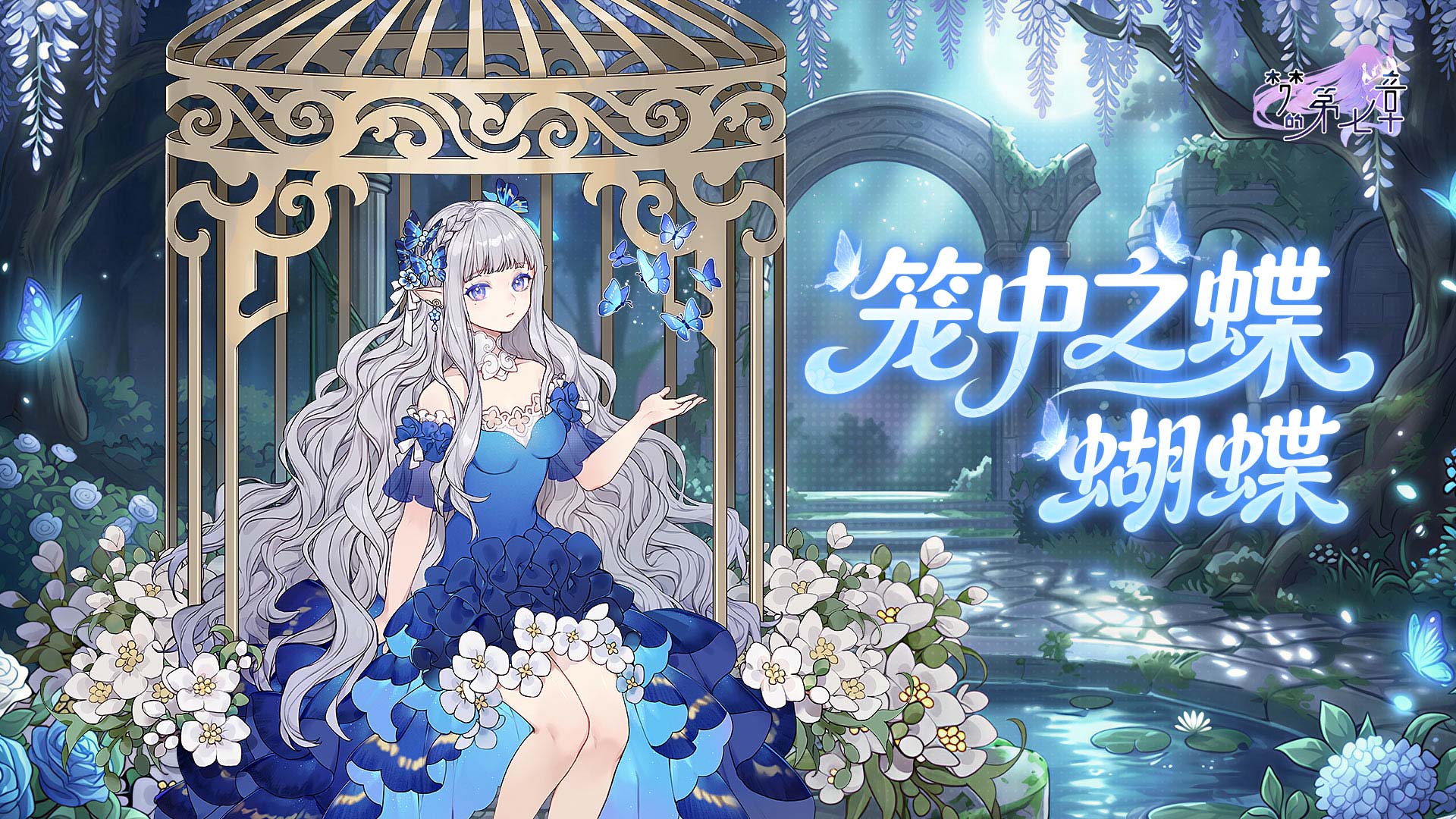 【链接者档案】蝴蝶