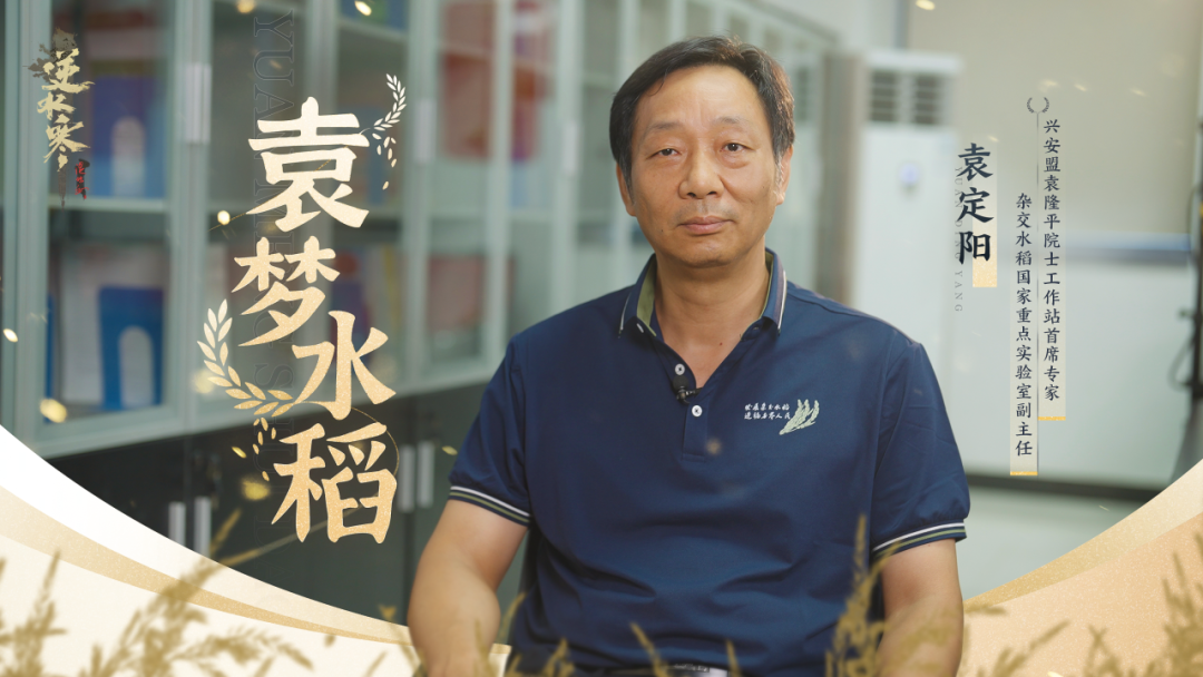 逆水寒金秋第一个公益联动献给水稻科学家【附全新战令天赏外观预览】