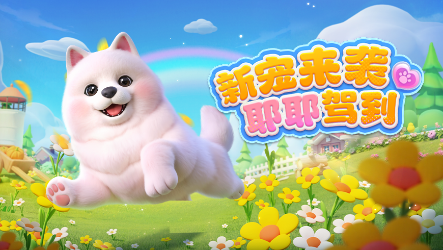 “梦中情狗”来啦，无敌可爱萨摩耶！！