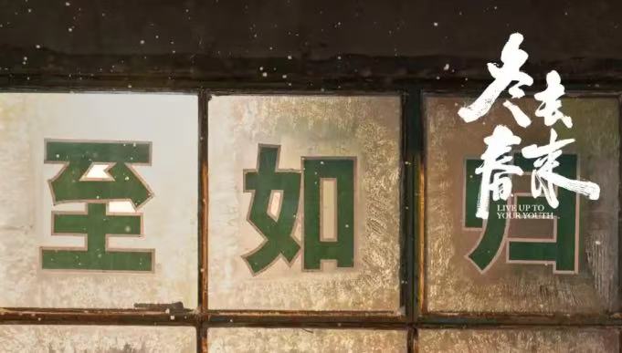 楚老板解围名场面出圈磕糖还是戳中爽点