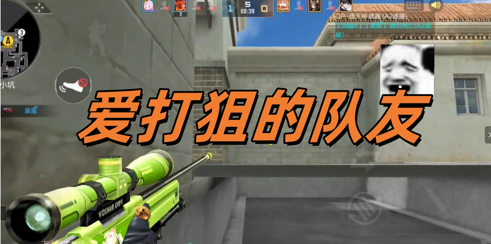 爱打狙的队友