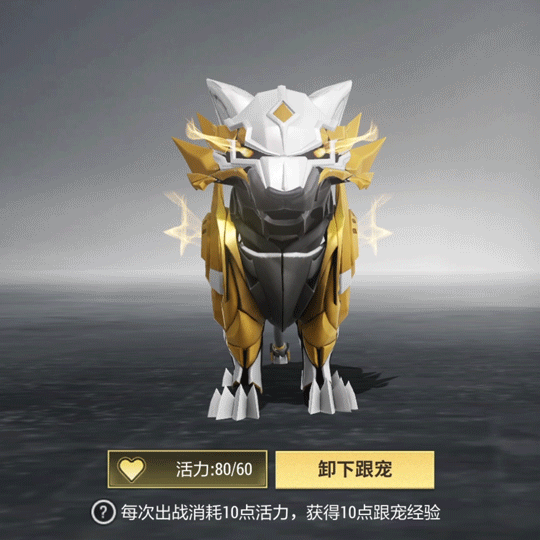 解锁全新开金搭档