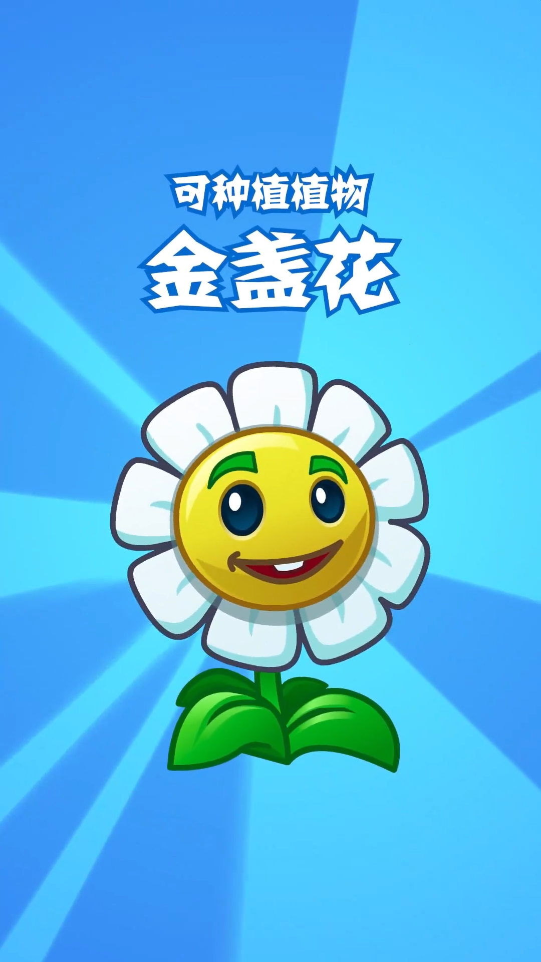 【前瞻】新植物-金盏花