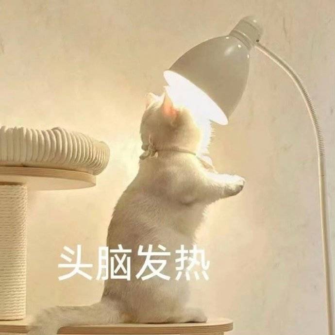 查分比游戏还刺激？这届考生解压方式太硬核
