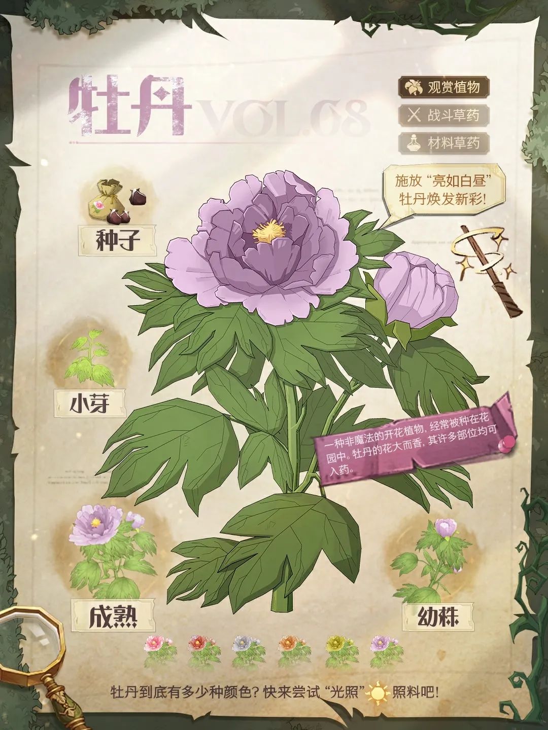 魔法植物图鉴丨突破技术难点！巫师成功培育出麻瓜植物？