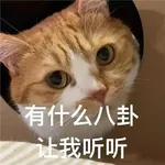 一个人玩好孤独，但社交恐惧怎么办？
