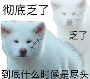 不开玩笑，甜妹统治世界！
