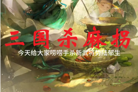 三国杀最强辅助