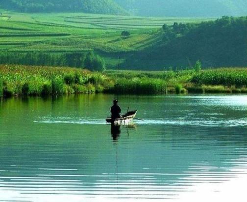 春雨里垂竿 这份春日治愈谁能不爱