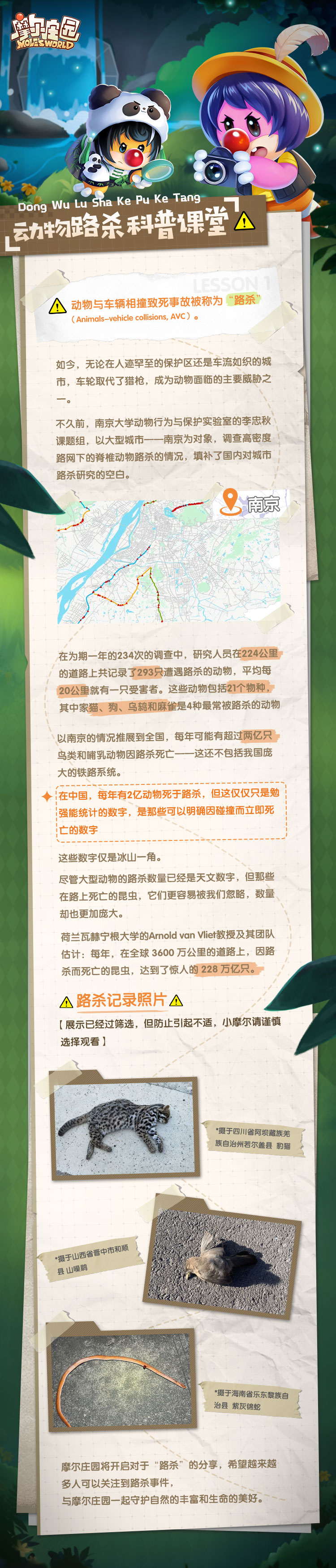 《摩尔庄园》动物路杀科普课堂｜第一期  