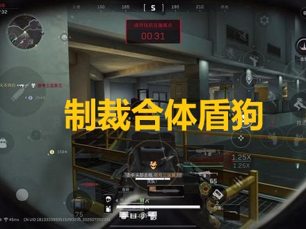 制裁合体盾狗
