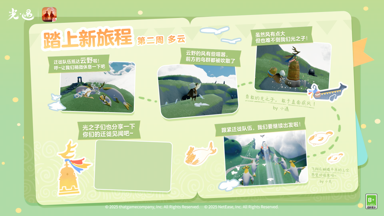 迁徙季观察日记｜绿草清风中，做一个关于远方的梦