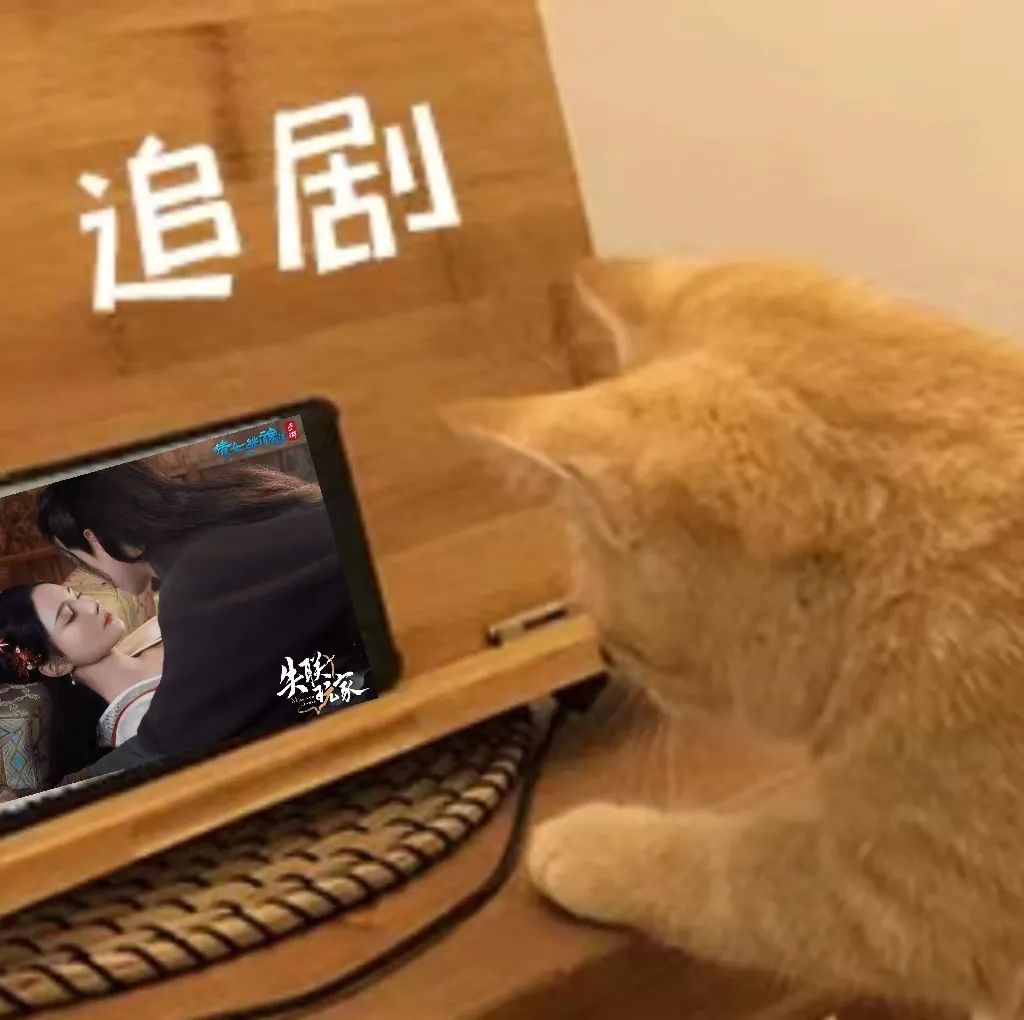 失联玩家05-09丨帅气小伙情窦初开，合婚不成暴打工作人员！？