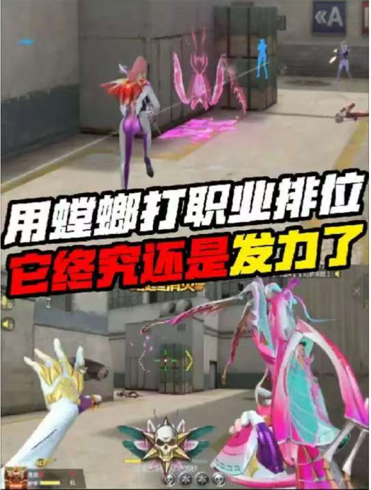 用螳螂打职业排位，它终究还是发力了