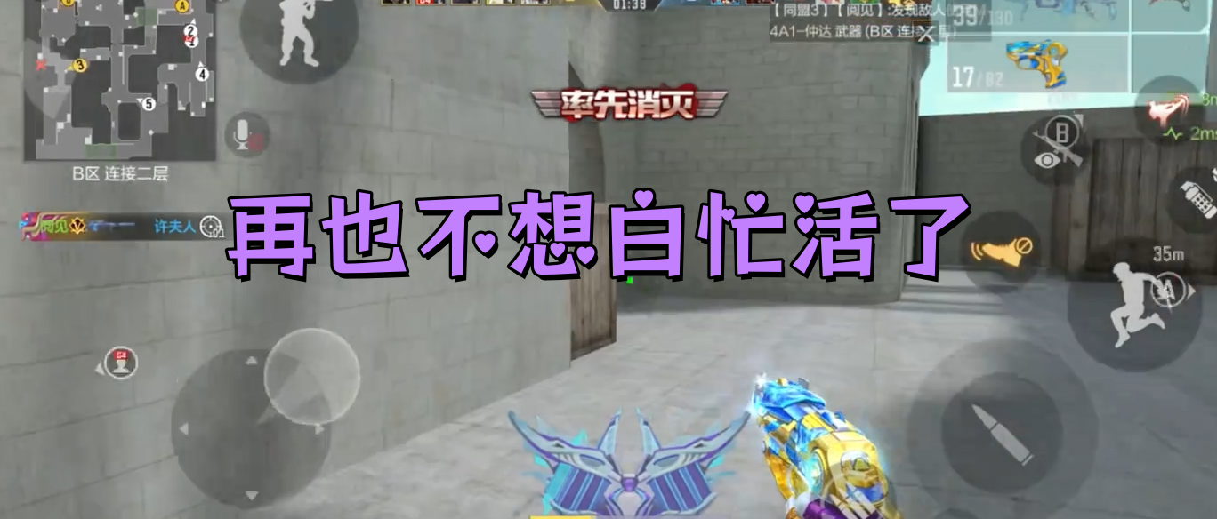 再也不想白忙活了