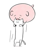 气球实验背后的智谋，三谋玩家玩转策略