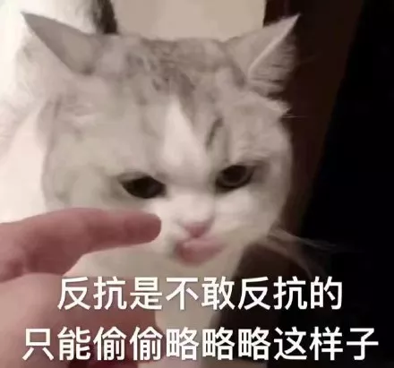 【玩家投稿】在旗舰之墟炸船！我的KM竟然来自队友？
