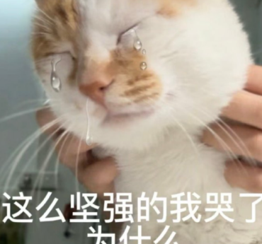 ​男主被虐上热搜 这游戏教你掌控命运   