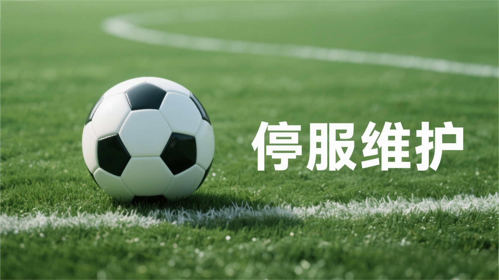 更新公告 | 1113停服维护更新公告请查收