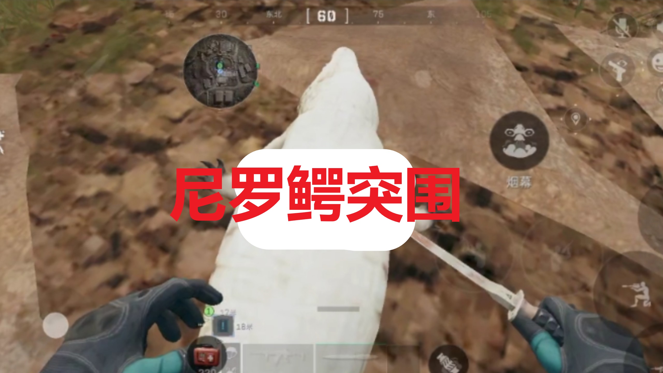 尼罗鳄突围