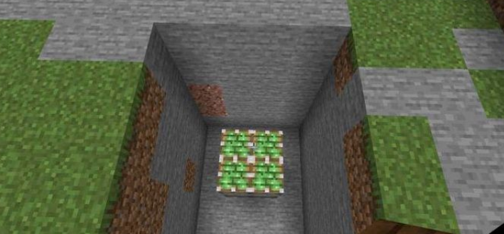 我的世界：地板机关的制作方法，帮助玩家隐藏物品