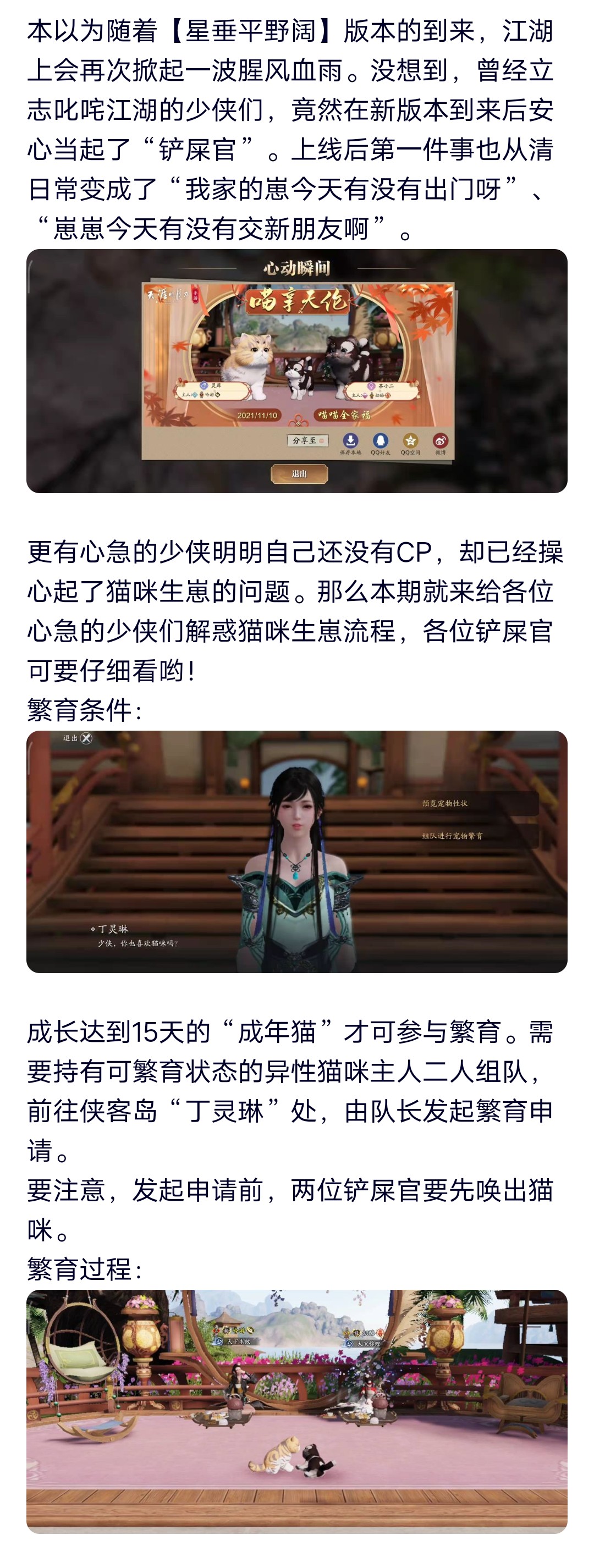 少侠，猫都可以生崽了，你的CP呢？