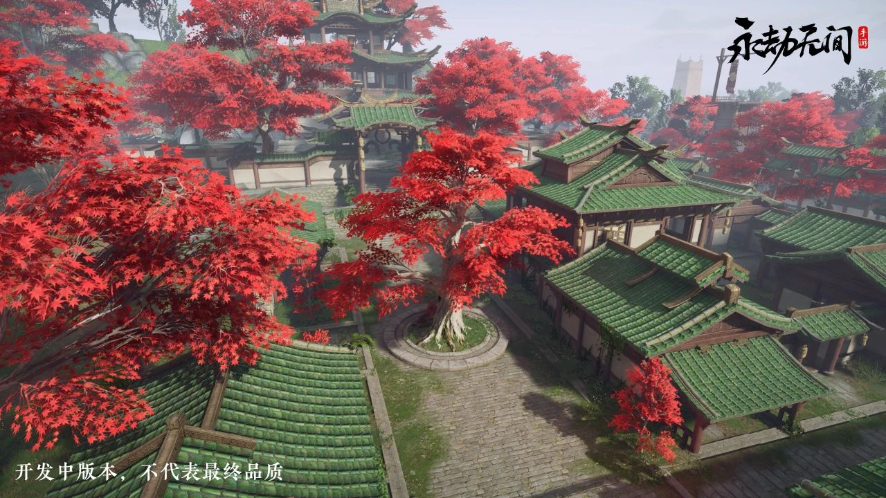 十四天，带走建议，留下回忆