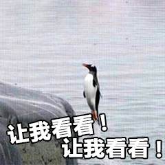 【新爆料】美食大赛取消了？那奥秃家的年夜饭怎么办！