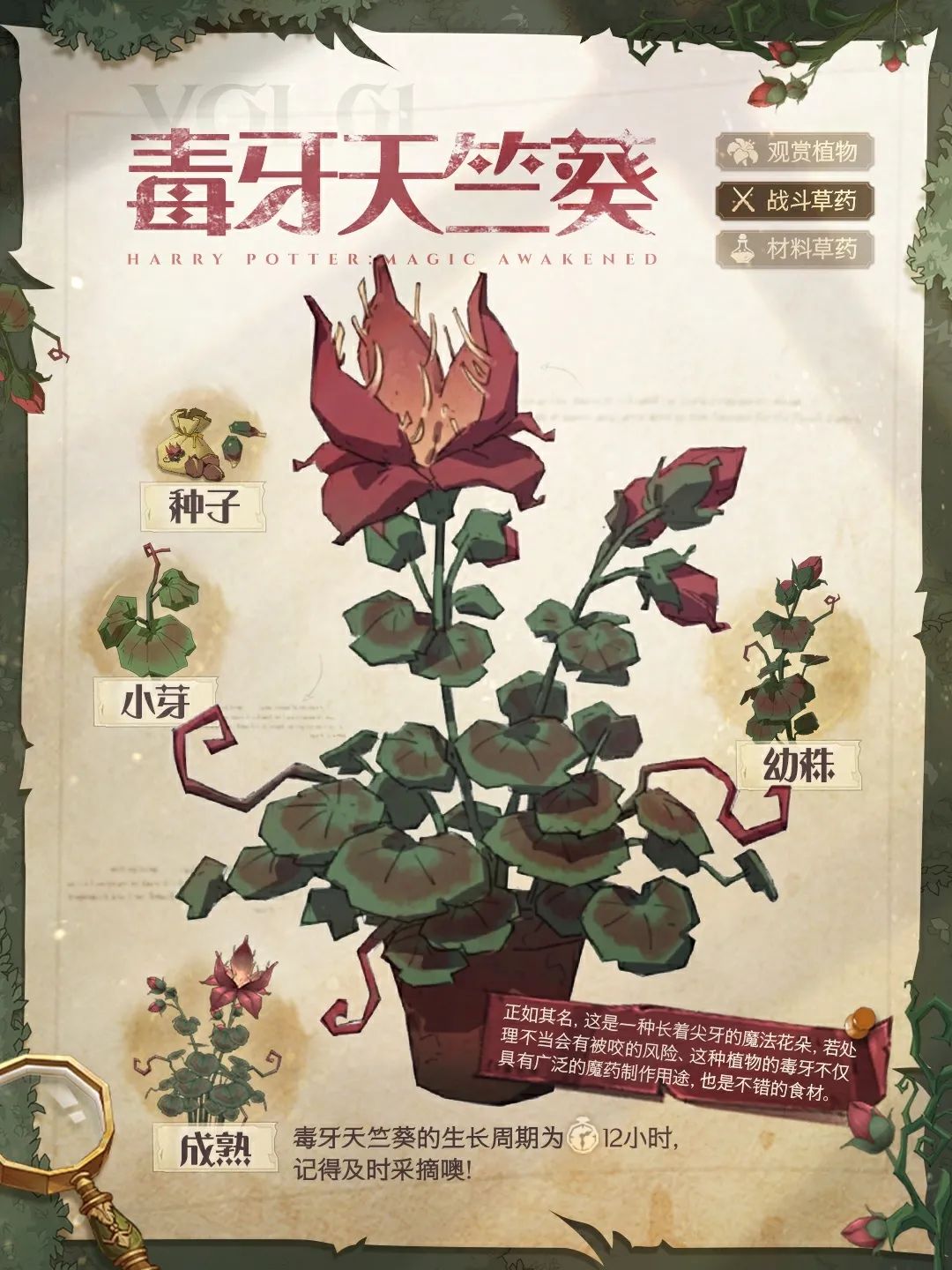 魔法植物图鉴丨第一期：毒牙天竺葵