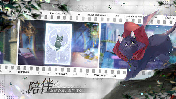 会不会有只猫猫？