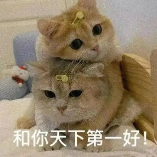真爱同盟诞生记 三谋里的互助兵法