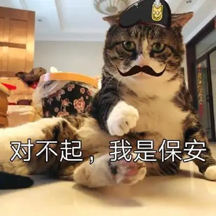 保安逆袭成英雄 这款游戏的进阶路更过瘾
