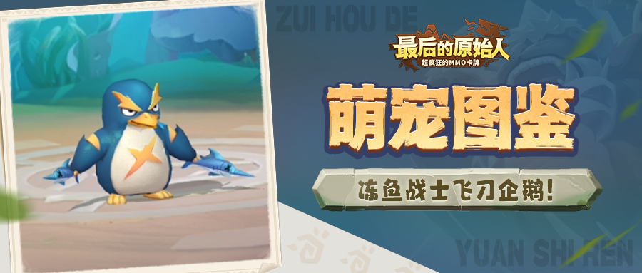 【萌宠图鉴】手拿冻鱼追一路，我叫飞刀企鹅你记住！