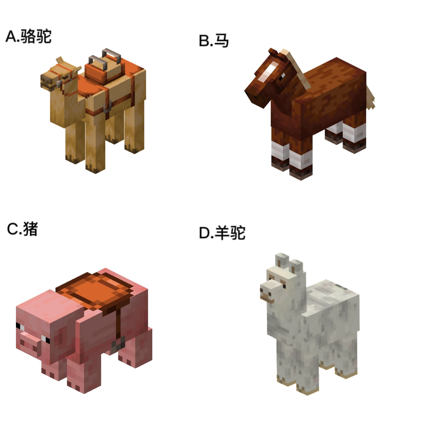 【已开奖】你最喜欢哪只坐骑？