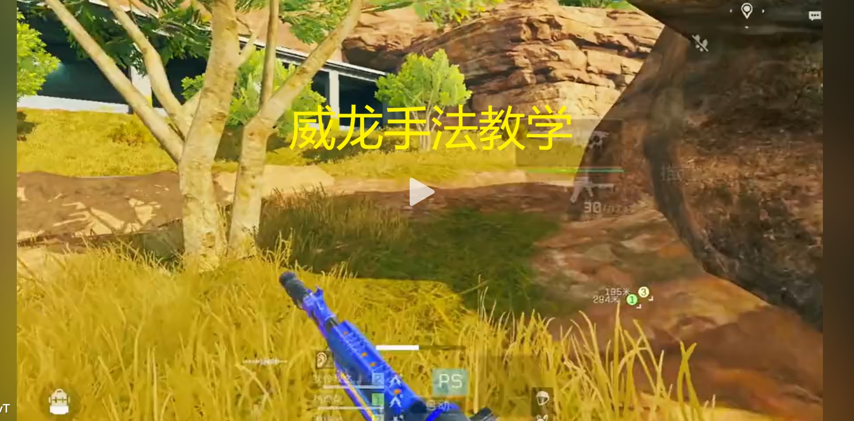 威龙手法教学