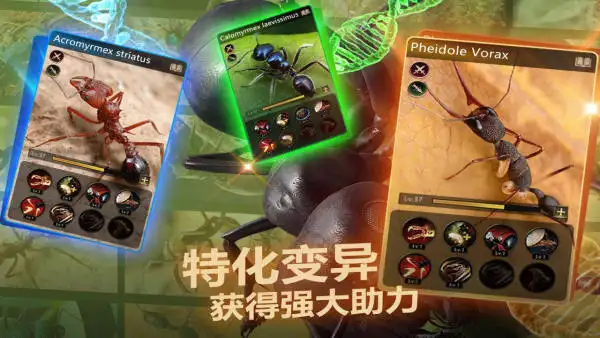 小小蚁国里蚂蚁种类都是卡牌吗？