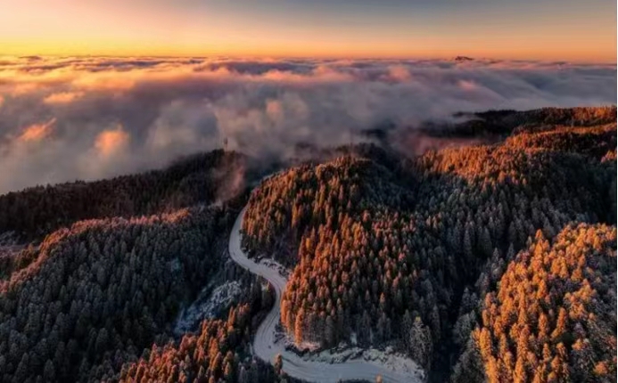 2025摄影高光刷屏 这游戏藏鲜活“未来感”