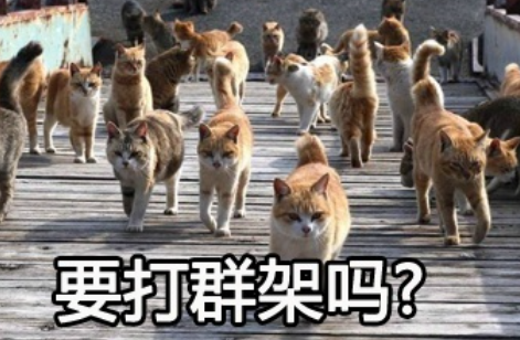 从花果山混战到三国同盟  打群架藏快乐